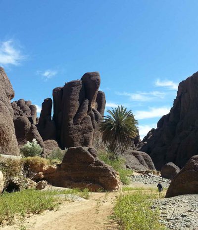 11-days-Sirwa-safran-valley