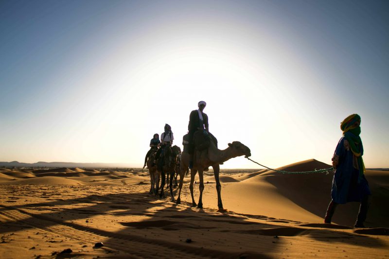 camel caravan